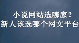 新人小说作者在哪个平台好一点？热门的小说平台有哪些